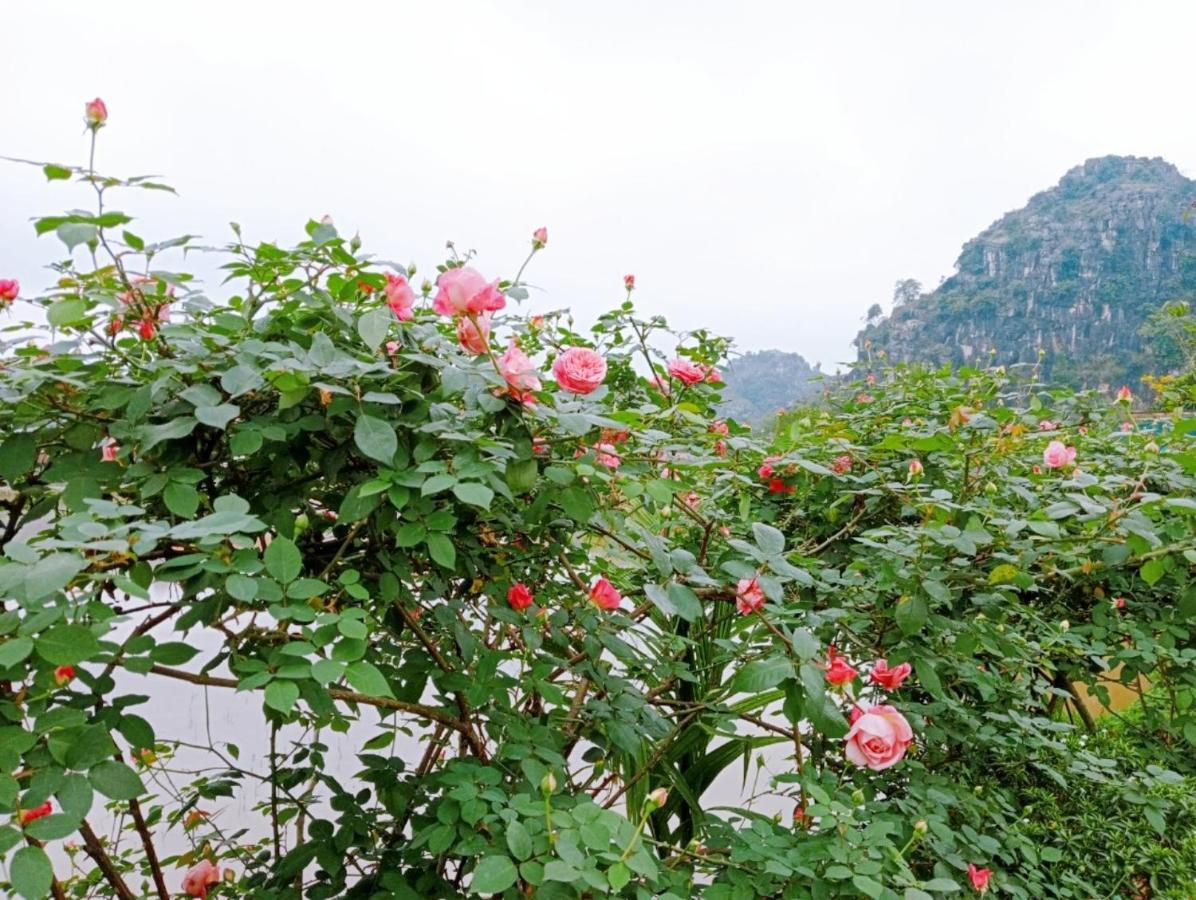 Ninh Binh Green Farmstay La Phu  ภายนอก รูปภาพ