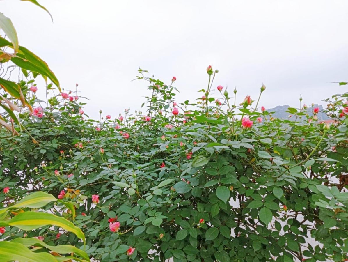 Ninh Binh Green Farmstay La Phu  ภายนอก รูปภาพ