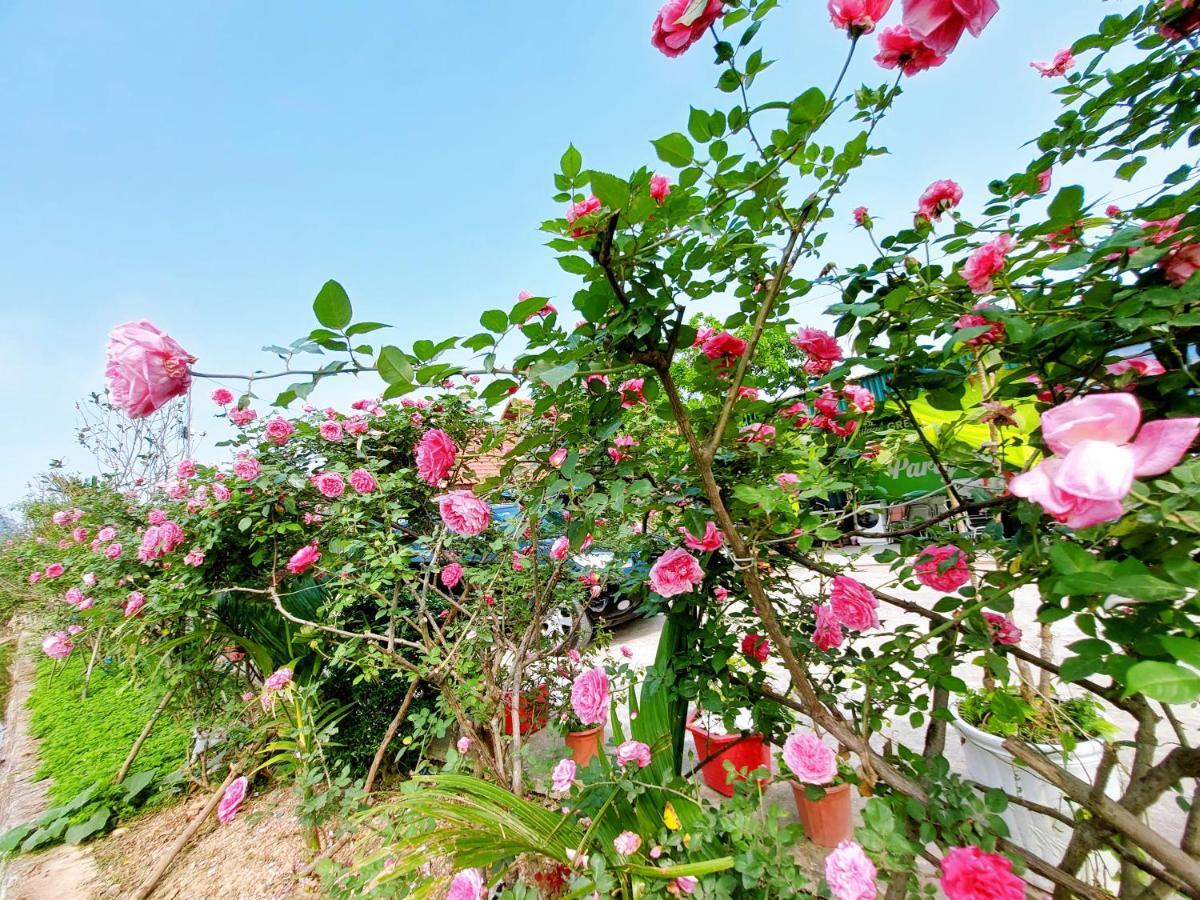 Ninh Binh Green Farmstay La Phu  ภายนอก รูปภาพ