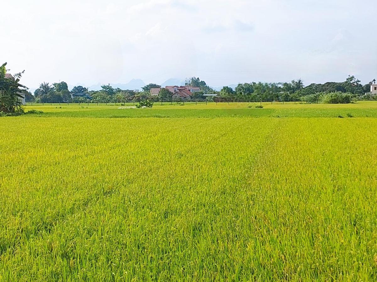 Ninh Binh Green Farmstay La Phu  ภายนอก รูปภาพ